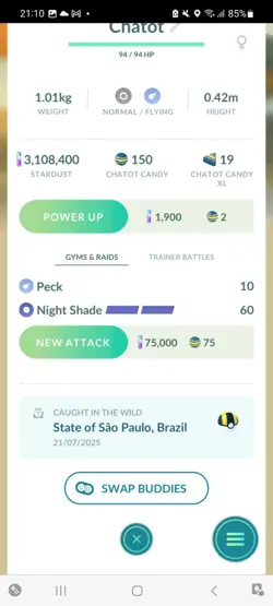 Pokemon Go Shiny Chatot - Image 2