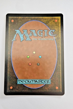 Spider-Man, Miles Morales Promo Card P0008 Magic The Gathering NM - Image 4