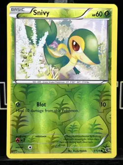 Snivy 5/124 Fates Collide Reverse Holo Common Pokemon TCG 2016 VLP - Image 3