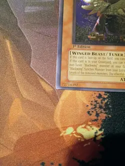 Yugioh Blackwing - Vayu the Emblem of Honor 1st Ed Ultimate Rare ANPR-EN005 LP - Image 2