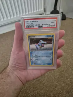 Pokemon Ex Hidden Legends Totodile Reverse Holo 79/101 Psa 9 2004 - Image 1