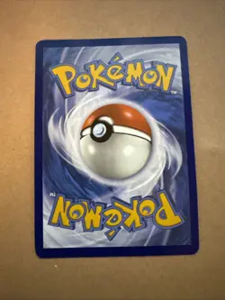 Chatot 181/162 Holo Pokemon TCG Card Scarlet Violet Temporal Forces NEAR MINT - Image 4