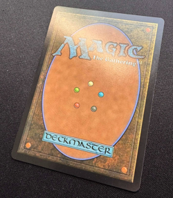 🌈 FOIL Full Art Land set (x10 Lands) - Lorwyn Eclipsed - MTG - NM - Image 3