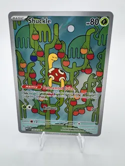 Shuckle 136/132 - ME01: Mega Evolution - Illustration Rare Pokemon NM - Image 1