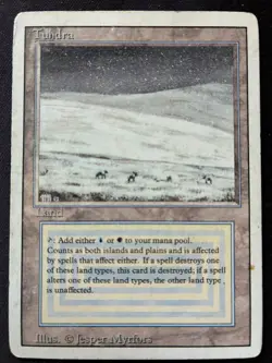 Tundra – Revised – Carte Magic: The Gathering – POOR - Image 2