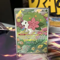 Shaymin 185/182 Illustration Rare - Destined Rivals - Pokemon TCG - NM/M - Image 1