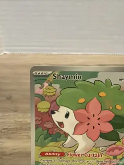 Shaymin 185/182 Illustration Rare, Destined Rivals Full Art Holo Pokemon TCG, NM - Image 4