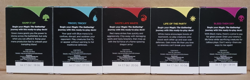 MAGIC THE GATHERING MTG SECRETS OF STRIXHAVEN WELCOME DECK SET OF 5 - Image 2