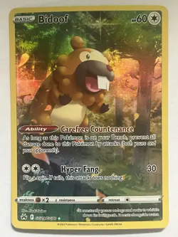 Bidoof GG29/GG70 Galarian Gallery Crown Zenith 2023 Pokemon English LP - Image 1