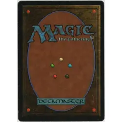 Vintage 1990s MTG Field of Dreams 55 Card 1994 Legends Magic the Gathering RETRO - Image 2