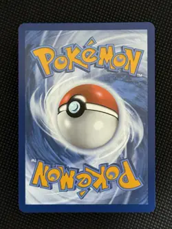 Eevee Holo Promo SV: Scarlet & Violet Promo Card 173 NM B - Image 2