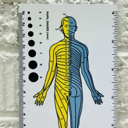 Cook Dermatome Map Pocket Size Card w/ Pupil Gauge Nurse Reference Tool • VG‼ - Image 2