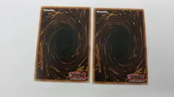 2x BLACKWING BLIZZARD THE FAR NORTH DP11-EN003 1ST ED COMMON YUGIOH NM UNPLAYED - Image 2