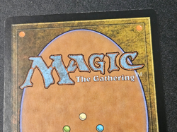 Thornbite Staff #145 Morningtide MOR Magic MTG LP Lightly Played - Image 5