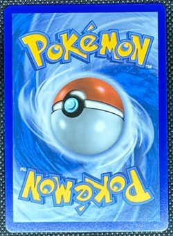 Raging Bolt ex svp145 NM Black Star Promo Pokemon Card Free Shipping - Image 2