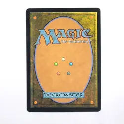 Forest 296 - MTG - Innistrad Remastered - NM Foil Retro - Image 2