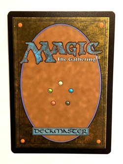MTG -Flashback (Extended Art) / Secrets of Strixhaven / Regular / NM - Image 2