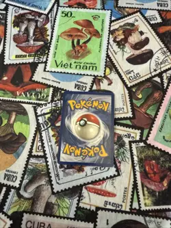 Pokemon TCG Lapras Fossil Holo Unlimited Rare Card 10/62 Vintage! ✨ - Image 4