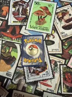 Pokemon TCG Lapras Fossil Holo Unlimited Rare Card 10/62 Vintage! ✨ - Image 5