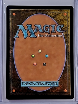 2025 MTG Magic The Gathering DFT Aetherdrift First Place Foil #511 Forest - Image 2