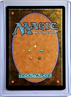 2024 MTG Magic the Gathering SLD Secret Lair Drop Fallout Foil #795 Wastes - Image 2