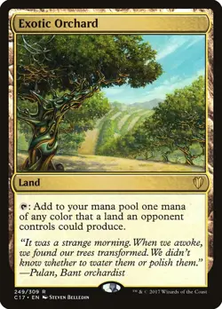 Exotic Orchard - 249 / English / Near Mint MTG - Image 1