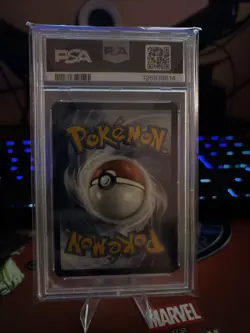 Phanpy Illustration 205/191 IR Rare Pokemon Surging Sparks PSA 9 Mint English - Image 2
