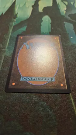 Floodfarm Verge Borderless Duskmourn House of Horror Magic the Gathering MtG - Image 4