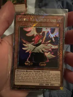 Yugioh Blackwing - Vayu the Emblem of Honor RA03-EN224 Platinum Secret Rare NM - Image 1
