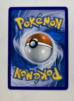 Minccino 2013 Pokemon Legendary Treasures Common #104/113 * Near Mint - Image 2