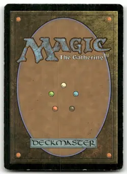 Soul Warden #34 (MP) Magic 2010 M10 Magic MTG - Image 2
