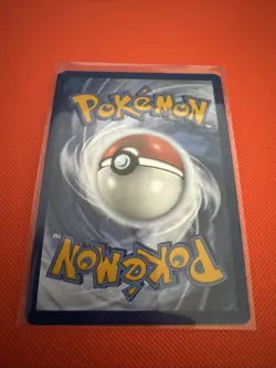 Squirtle - (Cosmos Holo) 048 SV: Scarlet & Violet Promo Cards Promo Holofoil NM - Image 2