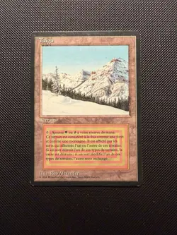 Taiga FBB French /EX MTG - Magic the Gathering - Fabuen - Image 1