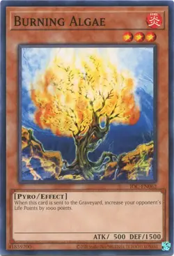 1x Burning Algae - Unlimited NM Eng YuGiOh - IOC 25th - Image 1