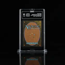 TAG 9 SAW IN HALF 2025 MAGIC: THE GATHERING SECRET LAIR DROP #1755 FOIL - Image 2