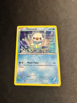 Oshawott BW03 Pokemon TCG Black & White Holo LP - Image 1
