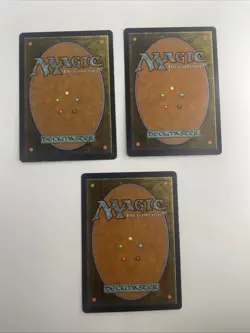 Lotus Bloom Time Spiral Regular X3 - Image 3