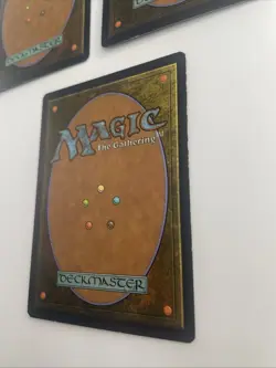 Lotus Bloom Time Spiral Regular X3 - Image 5