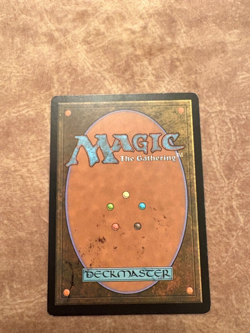 1x MTG Anarchist signed Tim/Greg Hildebrandt - Image 2