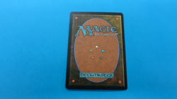 FOIL WRAP IN VIGOR INSTANT FUTURE SIGHT MTG Magic the Gathering NM / UNPLAYED - Image 2