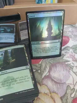 Mtg 575 Basic Land Lots Foil 115 Of Each Kind From AFR Set - Image 2
