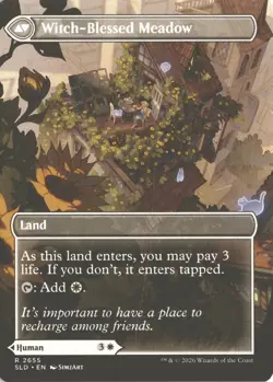 MTG Witch Enchanter (2655) Non-Foil Secret Lair: Witch's Familiar NM - Image 2
