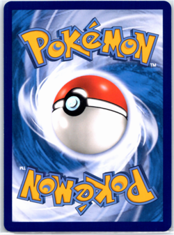 Pikachu CBB1C-0708/09 Full Art Holo Sun & Moon Chinese Pokemon - Image 2