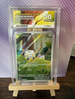 Togedemaru - Phantasmal Flames - 104/094 - Illustration Rare - ACE 10 Pokemon - Image 1