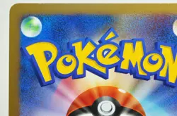 Pokemon card TCG Turtwig 001/014 Pt Gift Box DPt Turtwig Half Deck 2008 Japanese - Image 5