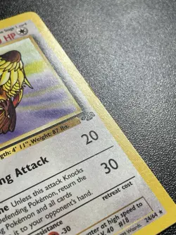 Pidgeot 24/64 Rare Jungle Set Pokemon Card LP - Image 3