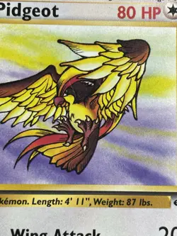 Pidgeot 24/64 Rare Jungle Set Pokemon Card LP - Image 4