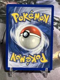 Torchic Promo 017 - Black Star Promo - Pokemon TCG - Image 2