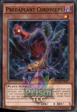 1st Ed Predaplant Cordyceps MACR-EN011 Yugioh - Image 1
