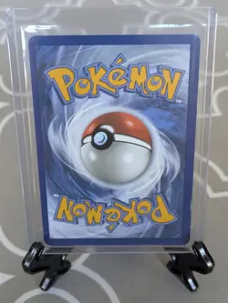 Pokemon First Partner Series 2 Johto Chikorita 046 Cyndaquil 047 Totodile 048 #3 - Image 5